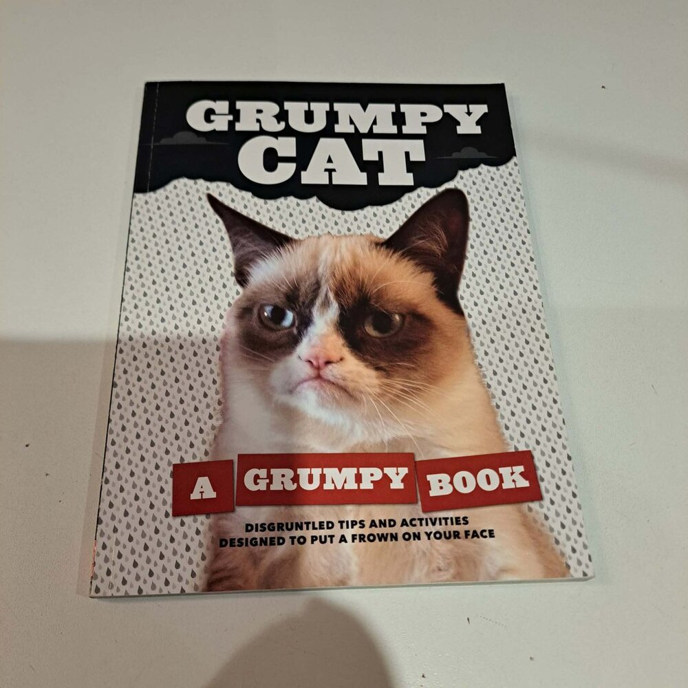 Grumpy cat A grumpy book